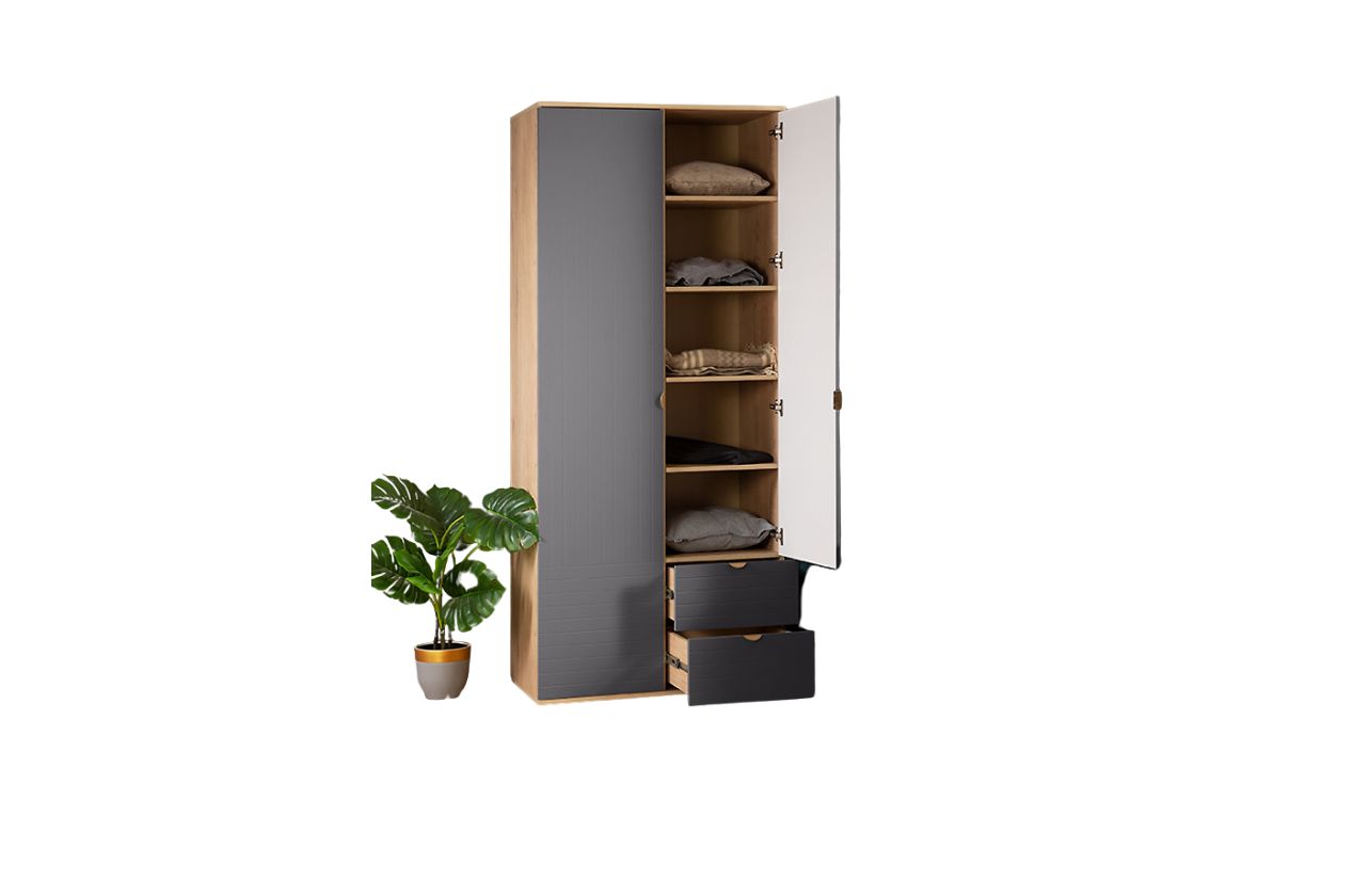 Tủ Quần Áo Cánh Mở Mont Blanc 2 Cánh Sơn Hiệu Ứng Line - Ảnh 32